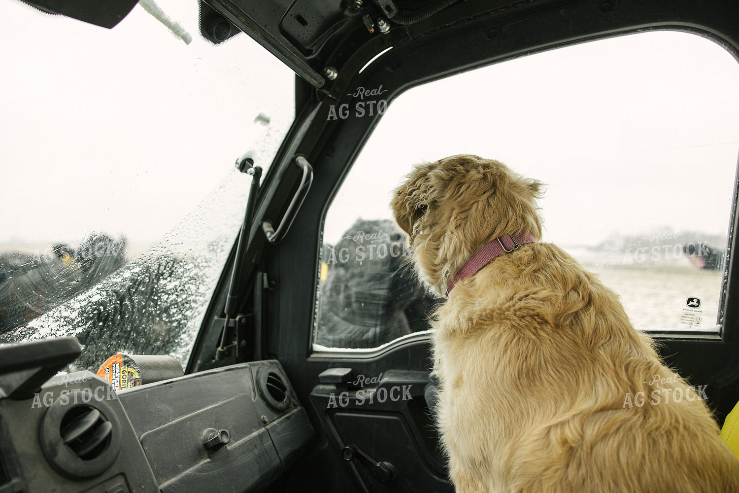 Ranch Dog in UTV Chores 70090