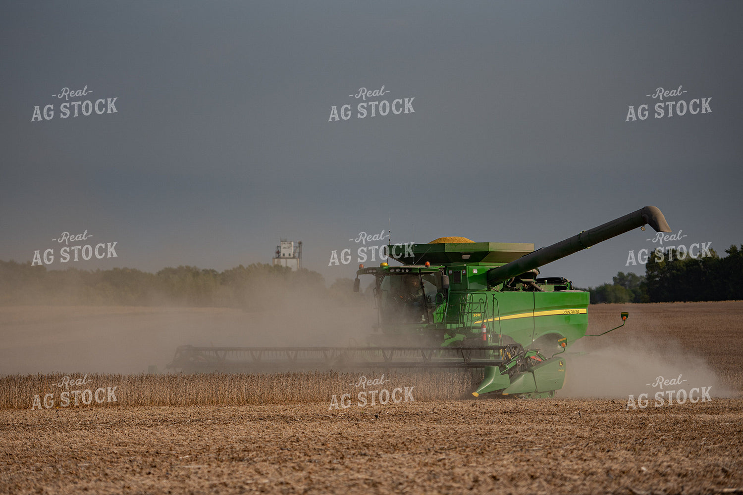 Soybean Harvest 274044