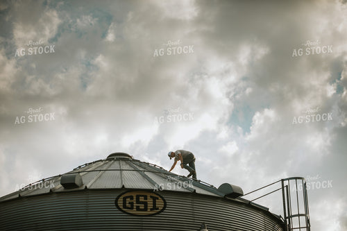 Farmer On Top of Grain Bin 4804
