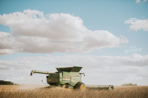 Soybean Harvest 6911