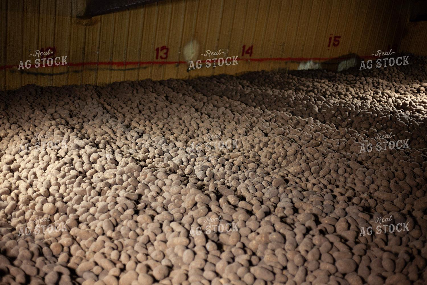 Potato Storage Facility 132210