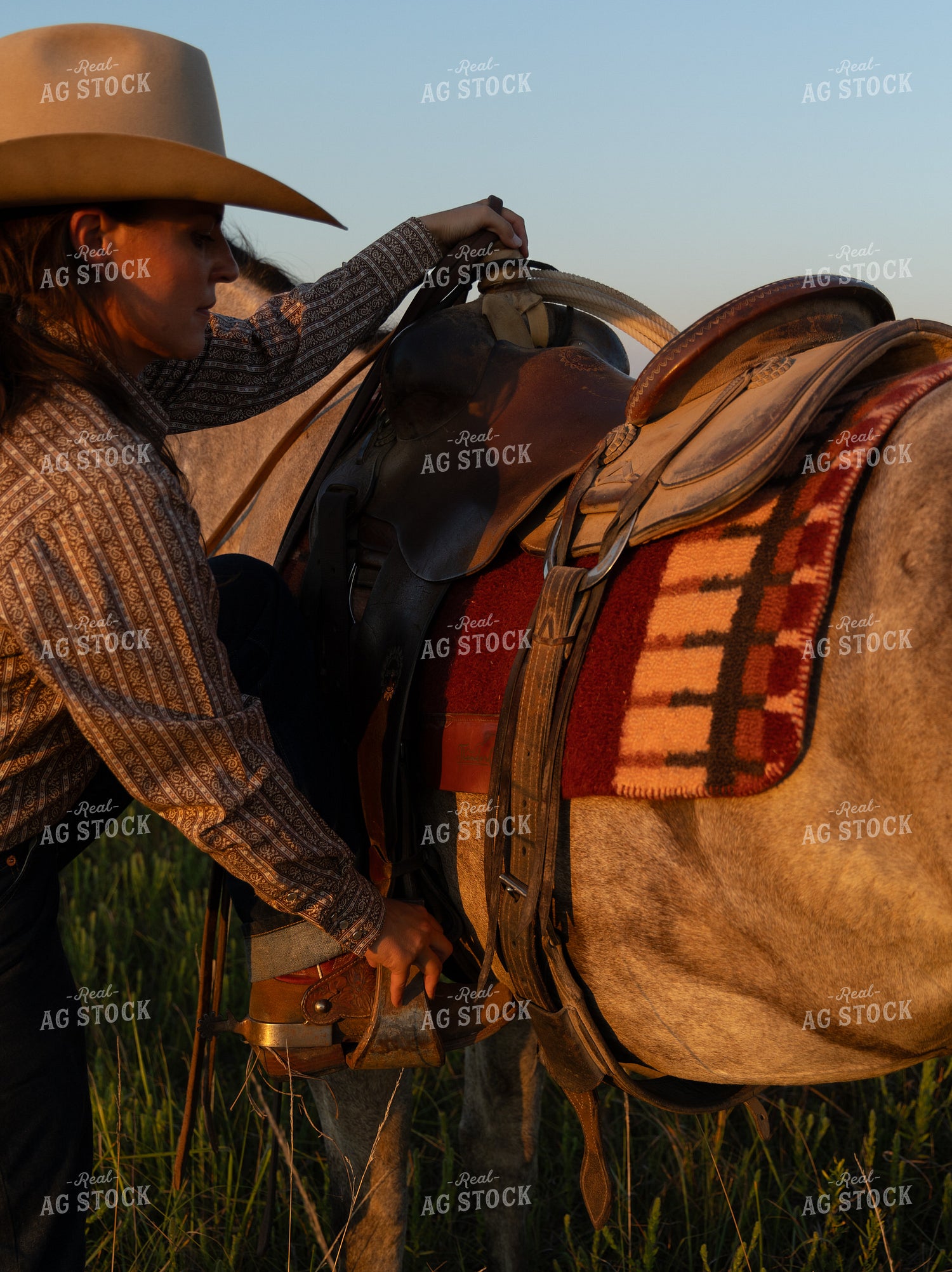 Female Rancher and Horse 71039