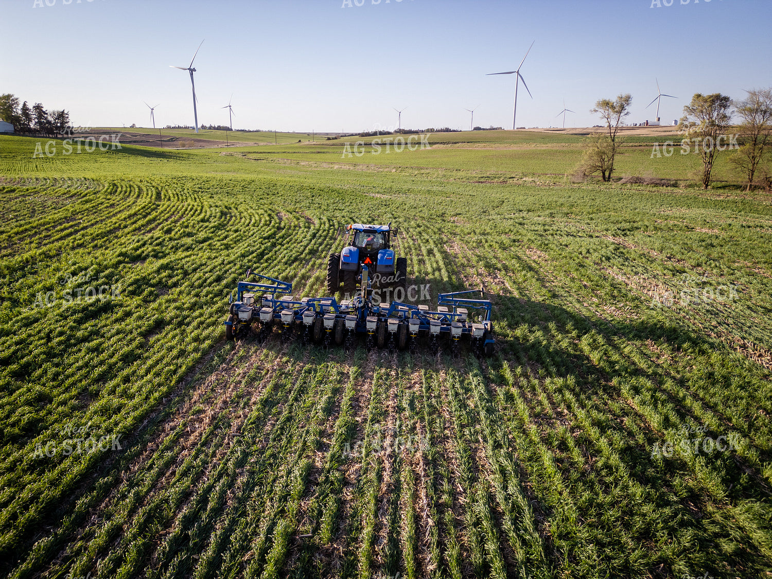 Planting into Cover Crop 268316