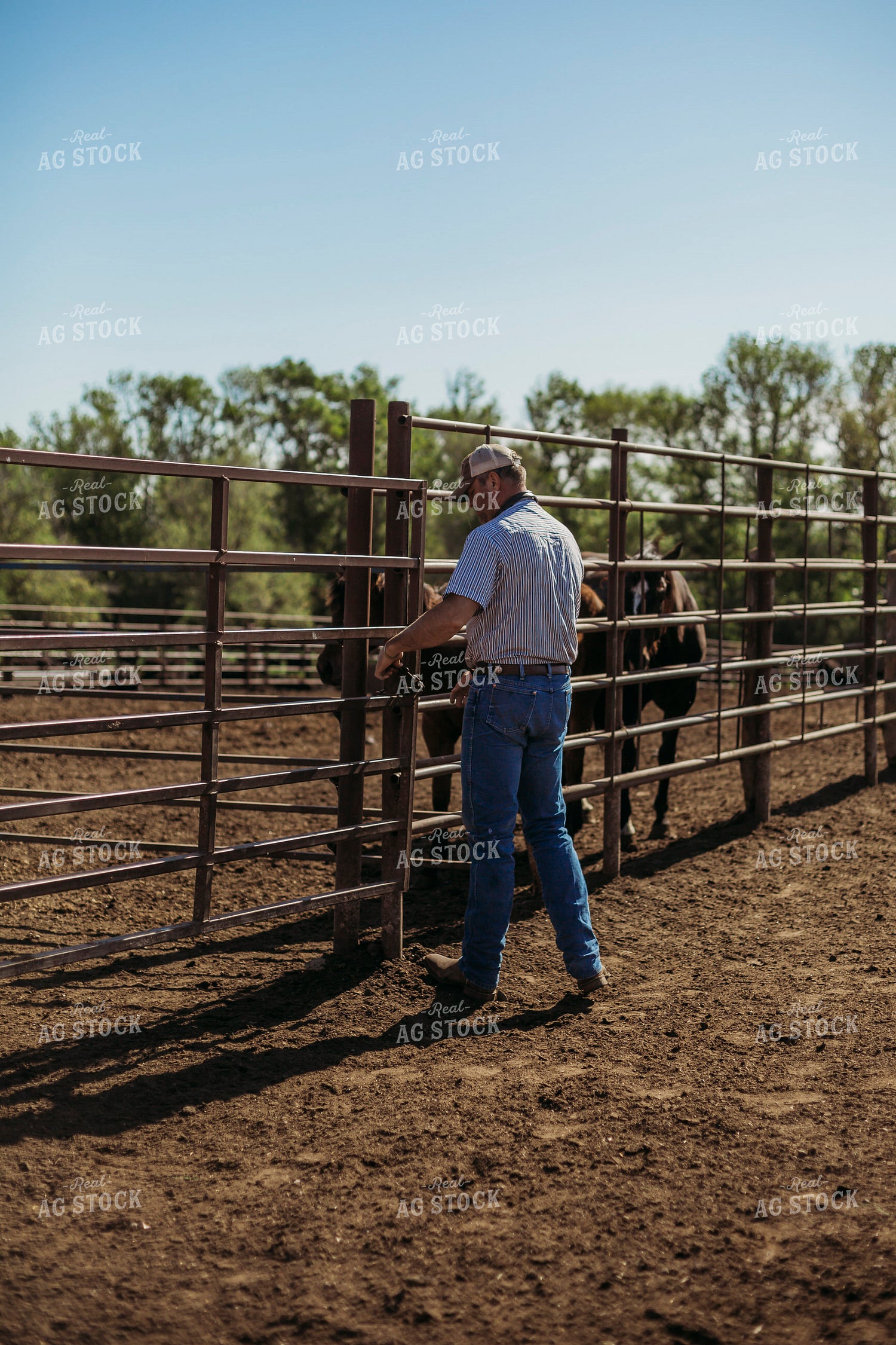 Rancher Opening Gate 285050