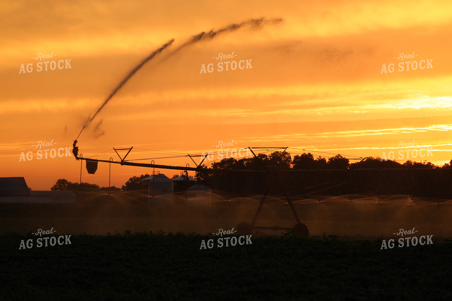 Irrigation at Sunset 160350