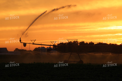 Irrigation at Sunset 160350