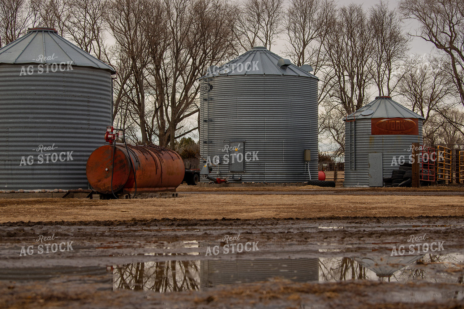 Grain Bins and Fuel Tank in Farmyard 299046