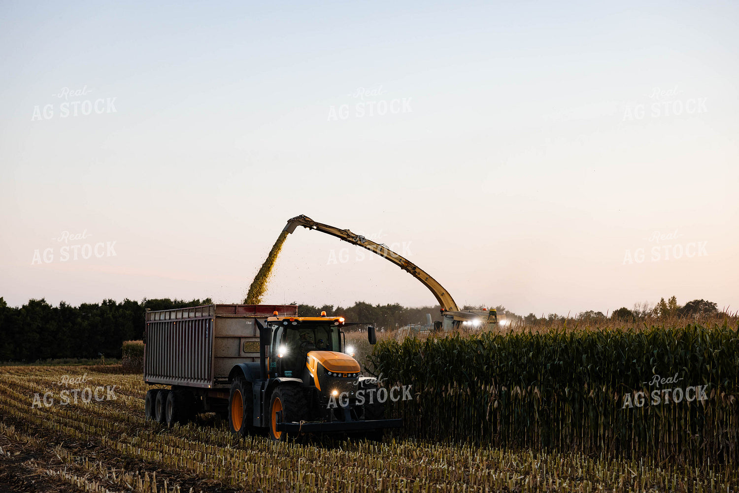 Silage Harvest 152303