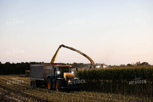 Silage Harvest 152303