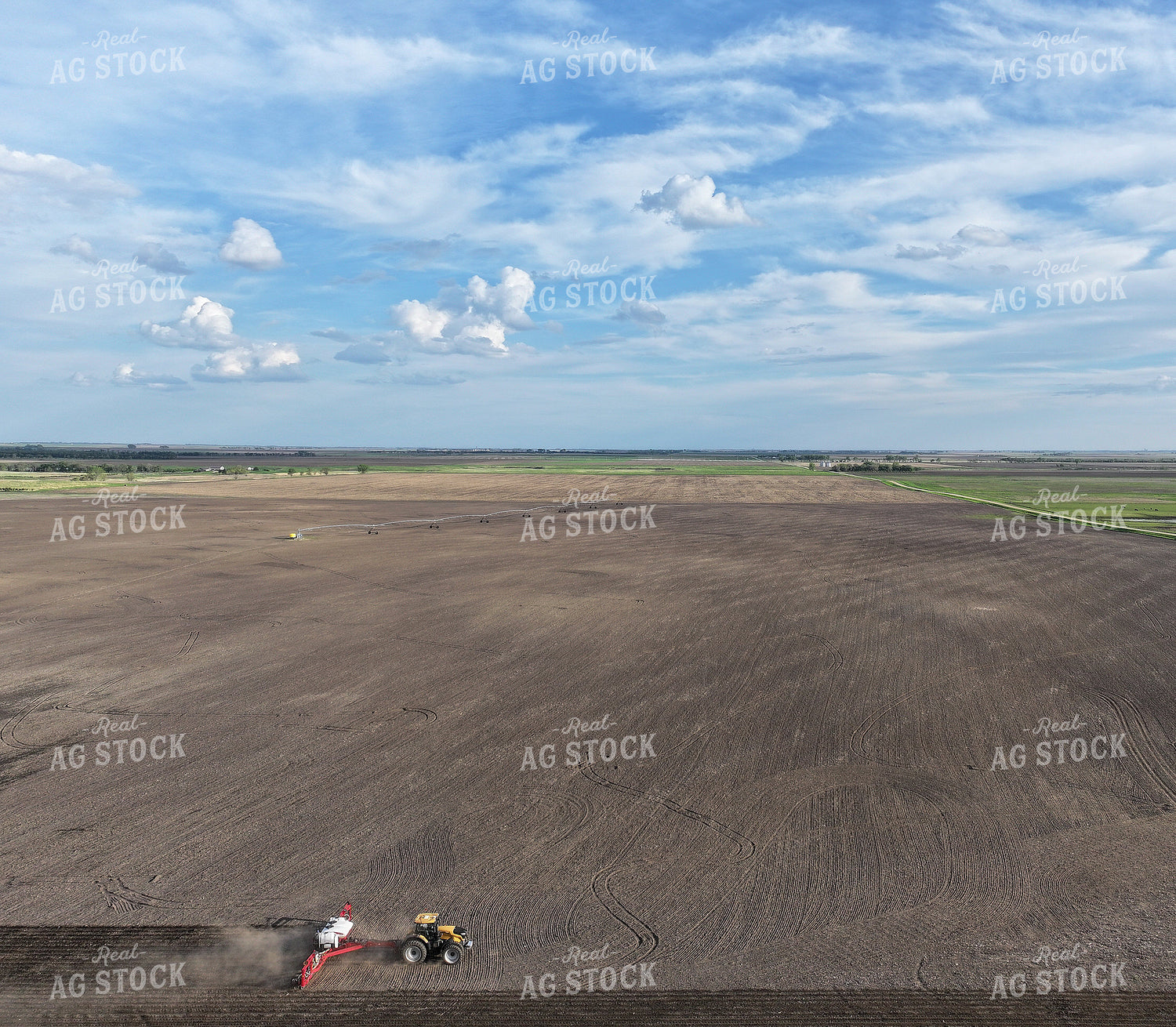 Planting 141132