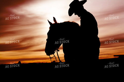 Rancher and Horse Silhouette 69018
