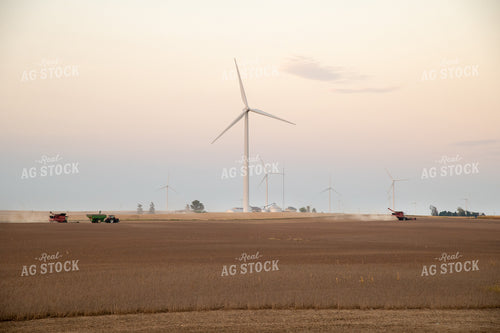 Two Combines Harvesting Soybeans at Sunset 25795