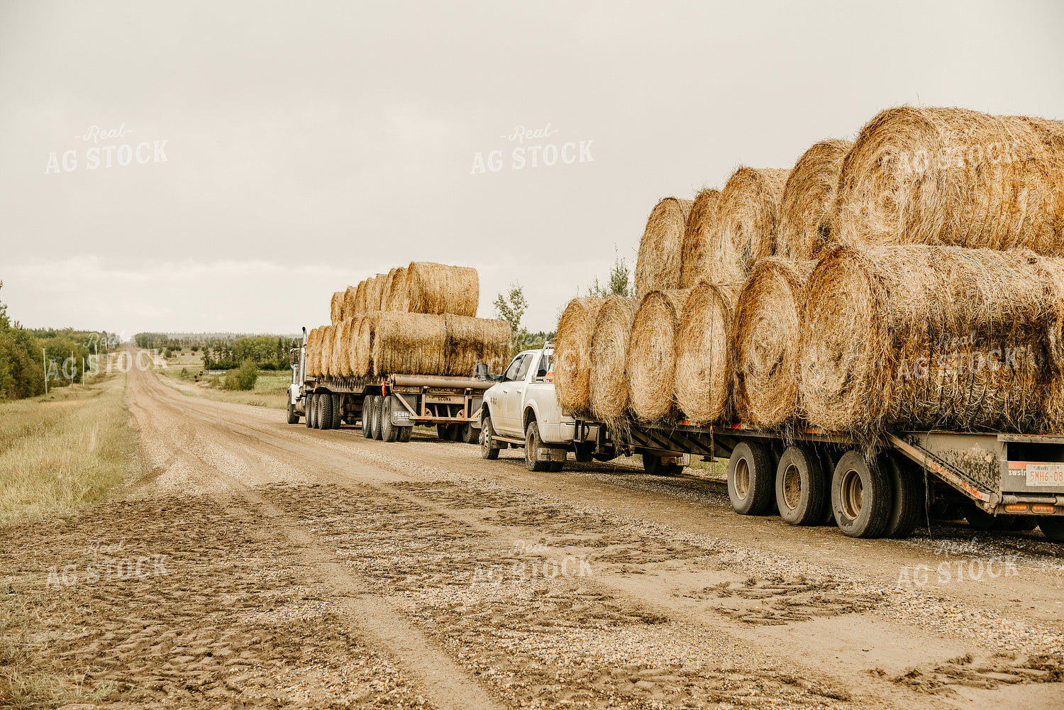 Round bales on Trailer 64151