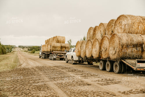 Round bales on Trailer 64151