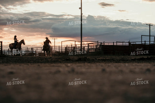 Feedyard 3124