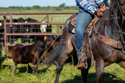 Rancher Herding Cattle on Horseback 175001