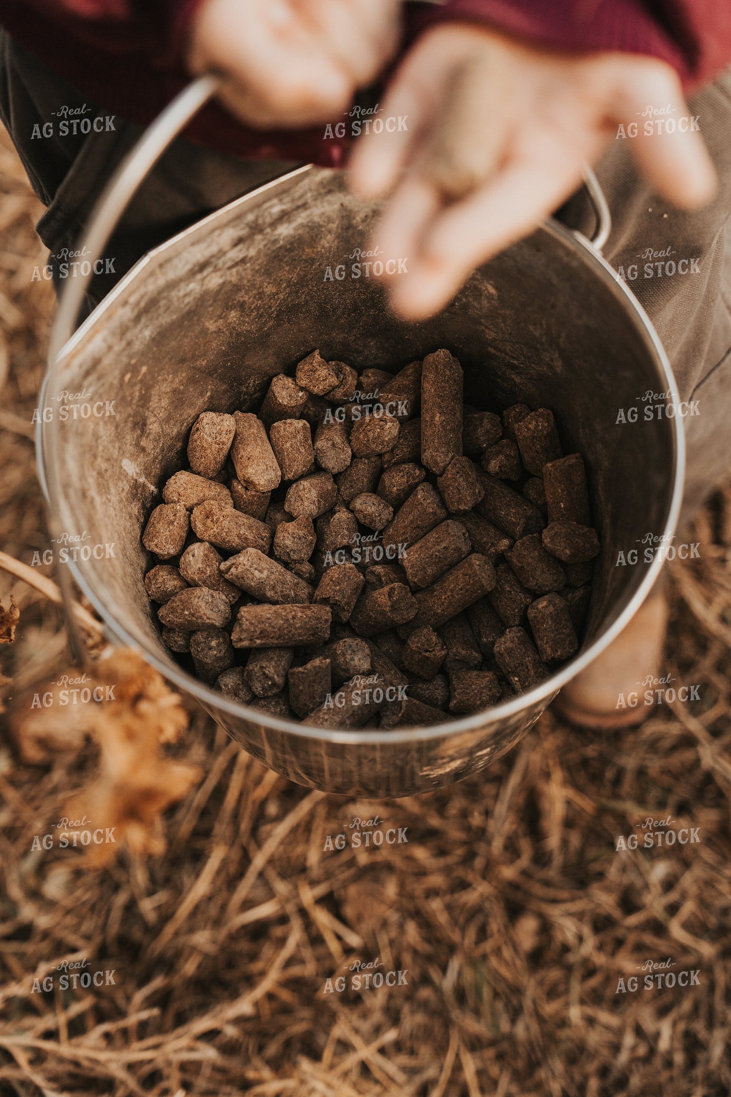 Ranch Kid with Bucket 61217