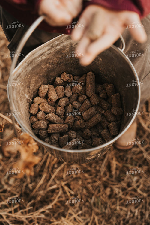 Ranch Kid with Bucket 61217