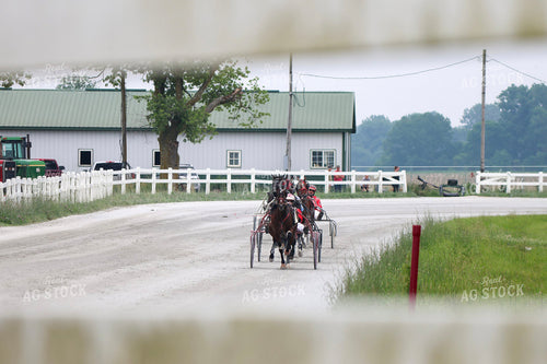 Harness Racing 109144