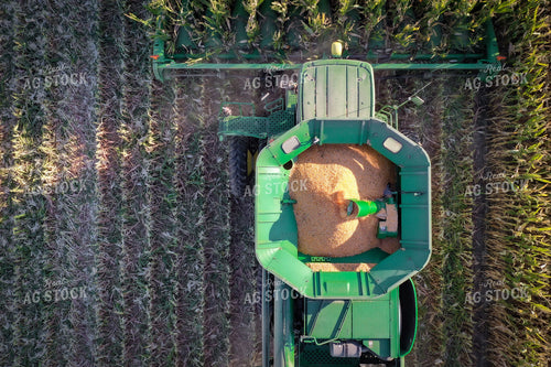 High Moisture Shell Corn Harvest Drone 56179