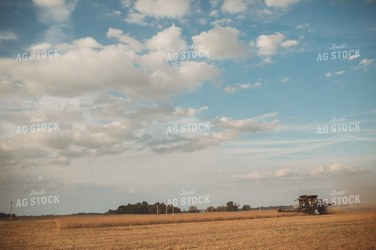 Combine Cutting Soybeans 4840