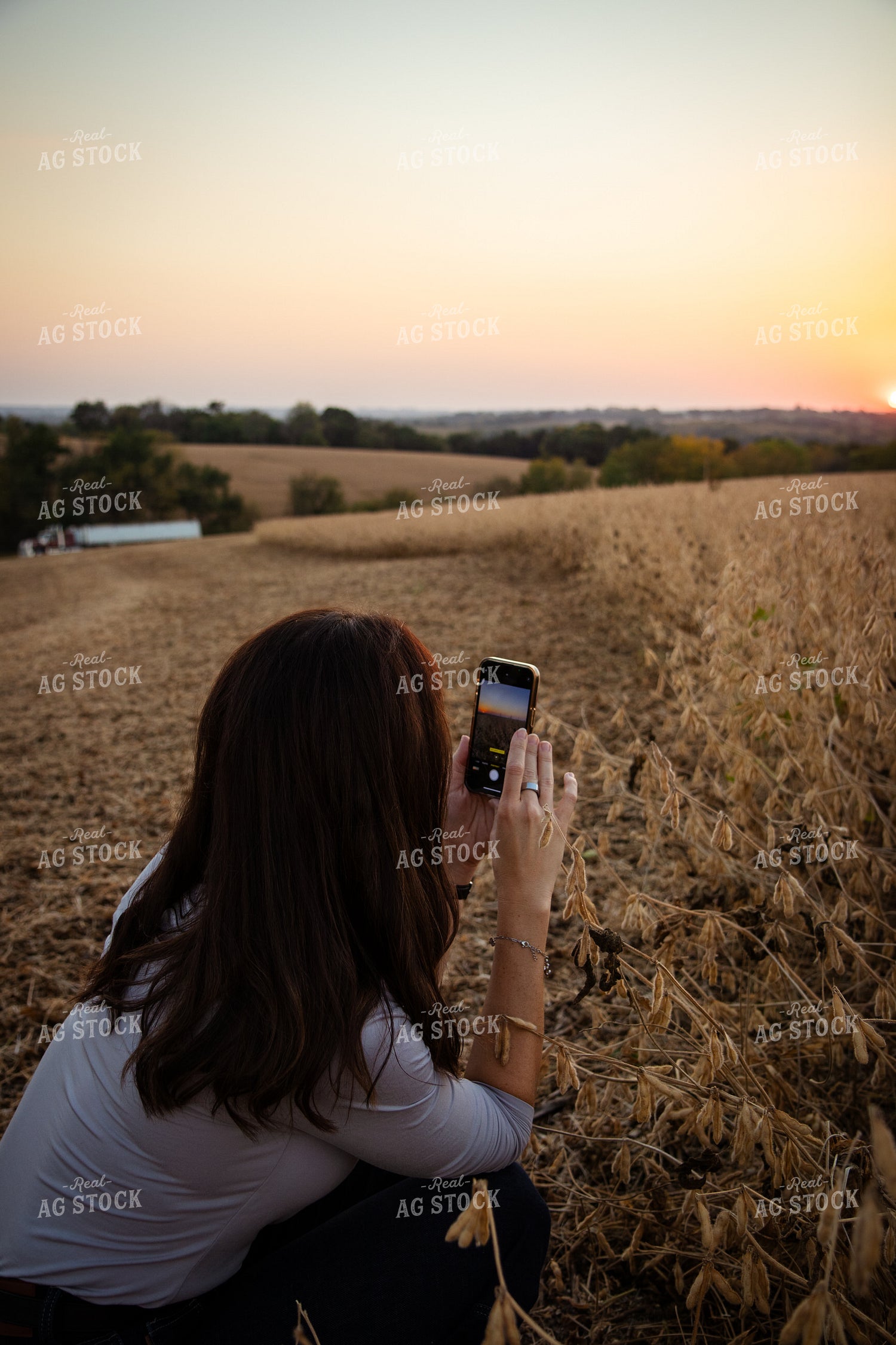 Farm Wife Taking Picture of Sunset 268096