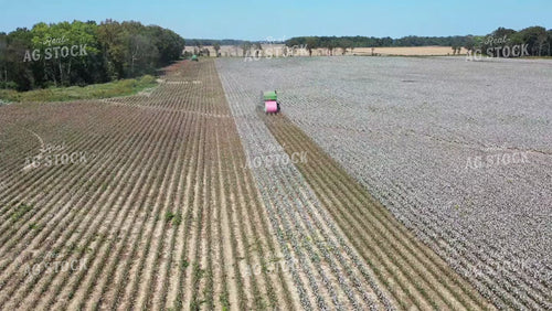 Cotton Harvest 79436