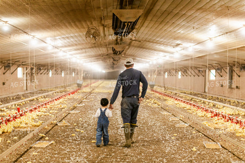 Farmer and Son in Chicken Barn 280002