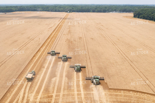 Soybean Harvest 79328