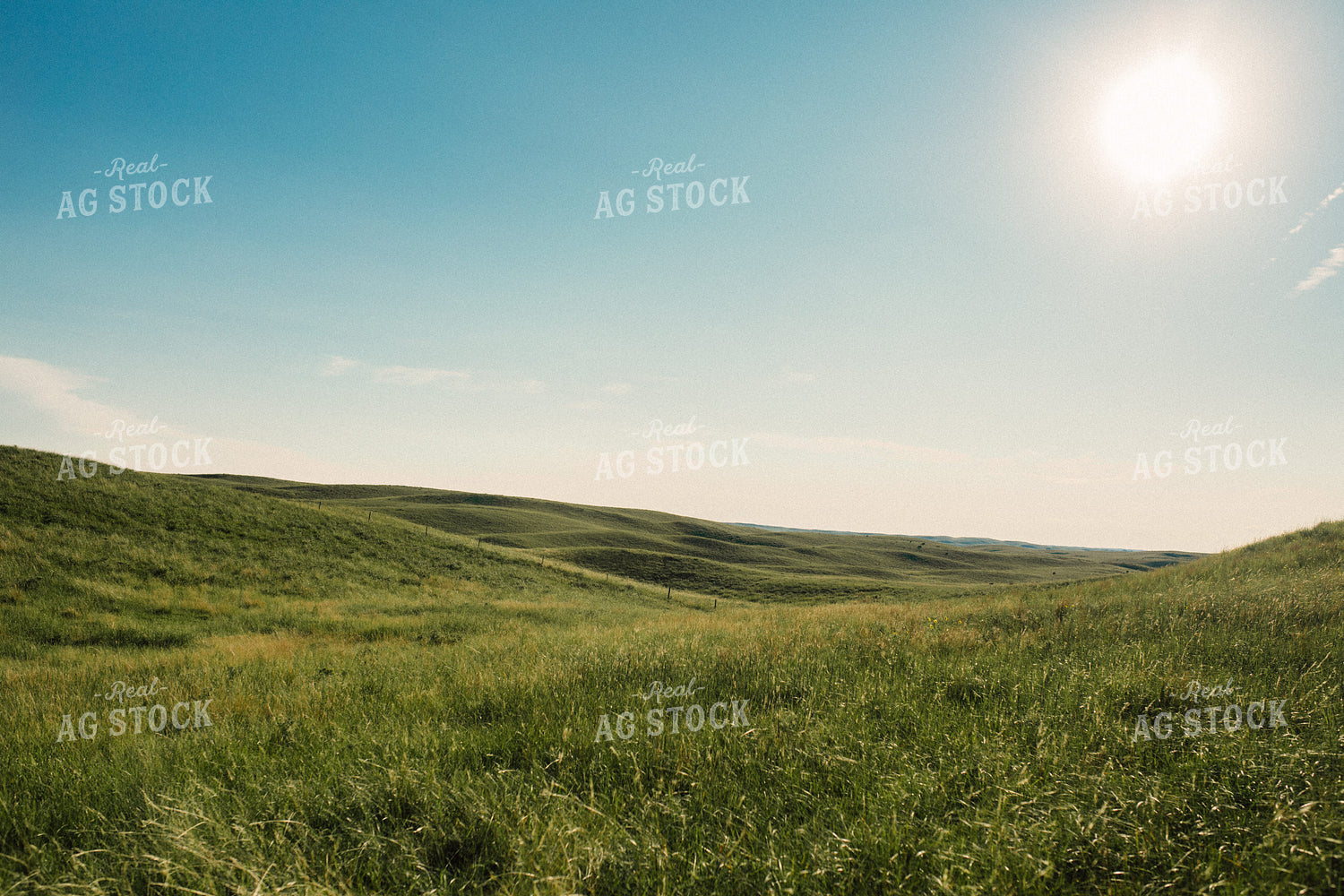 Sand Hills Pasture 53039
