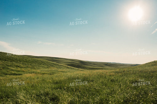 Sand Hills Pasture 53039