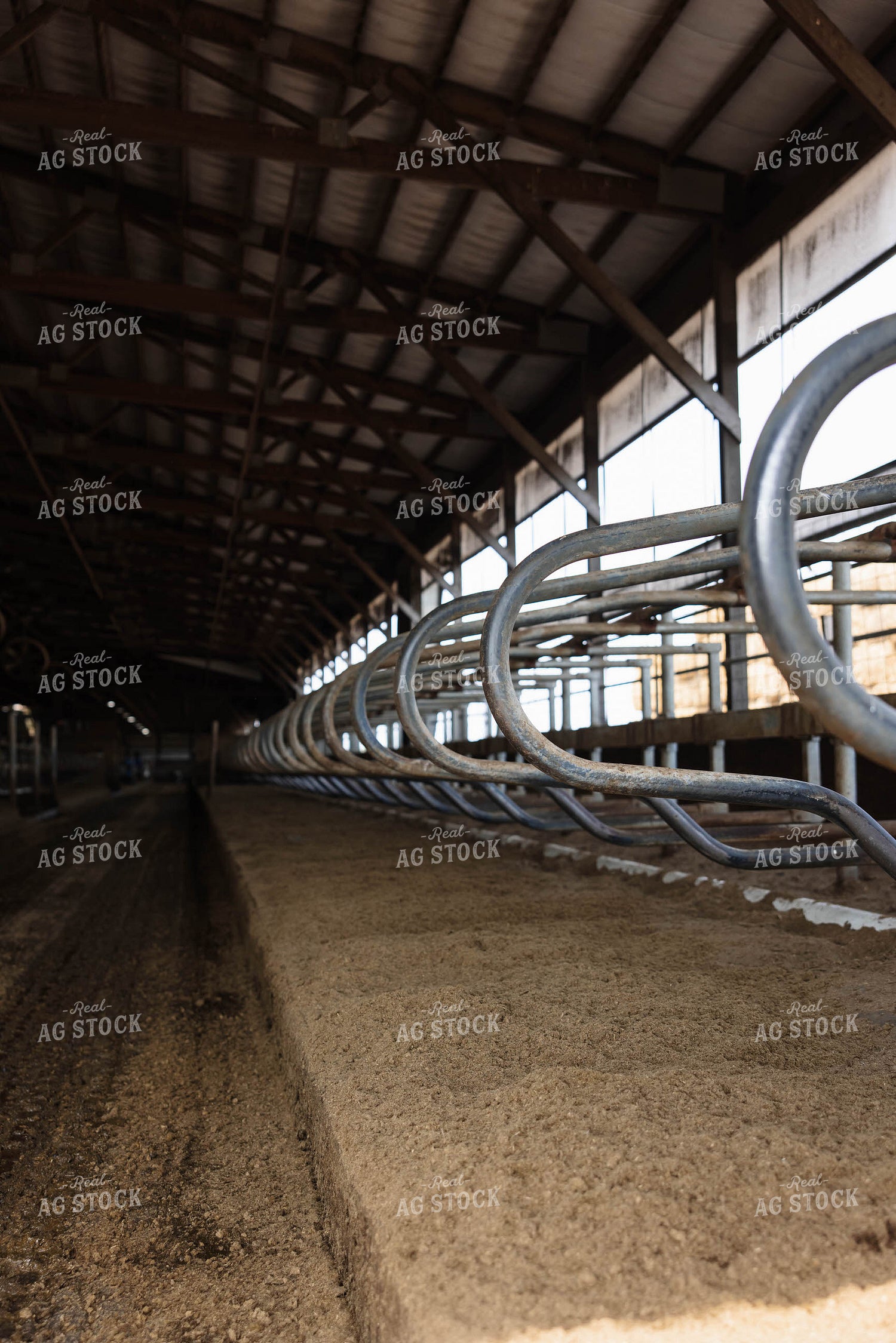 Empty Cattle Barn Stalls 152760