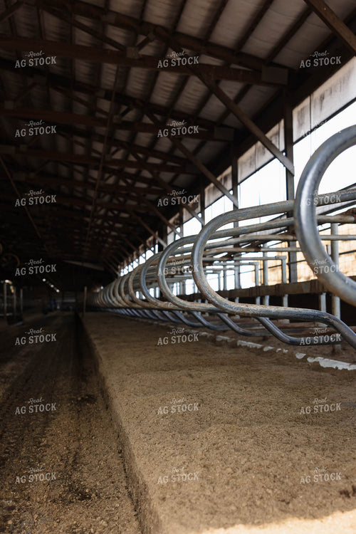 Empty Cattle Barn Stalls 152760
