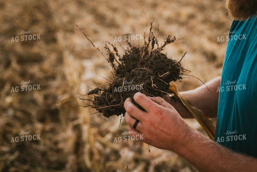 Farmer Checking Root Ball 9407