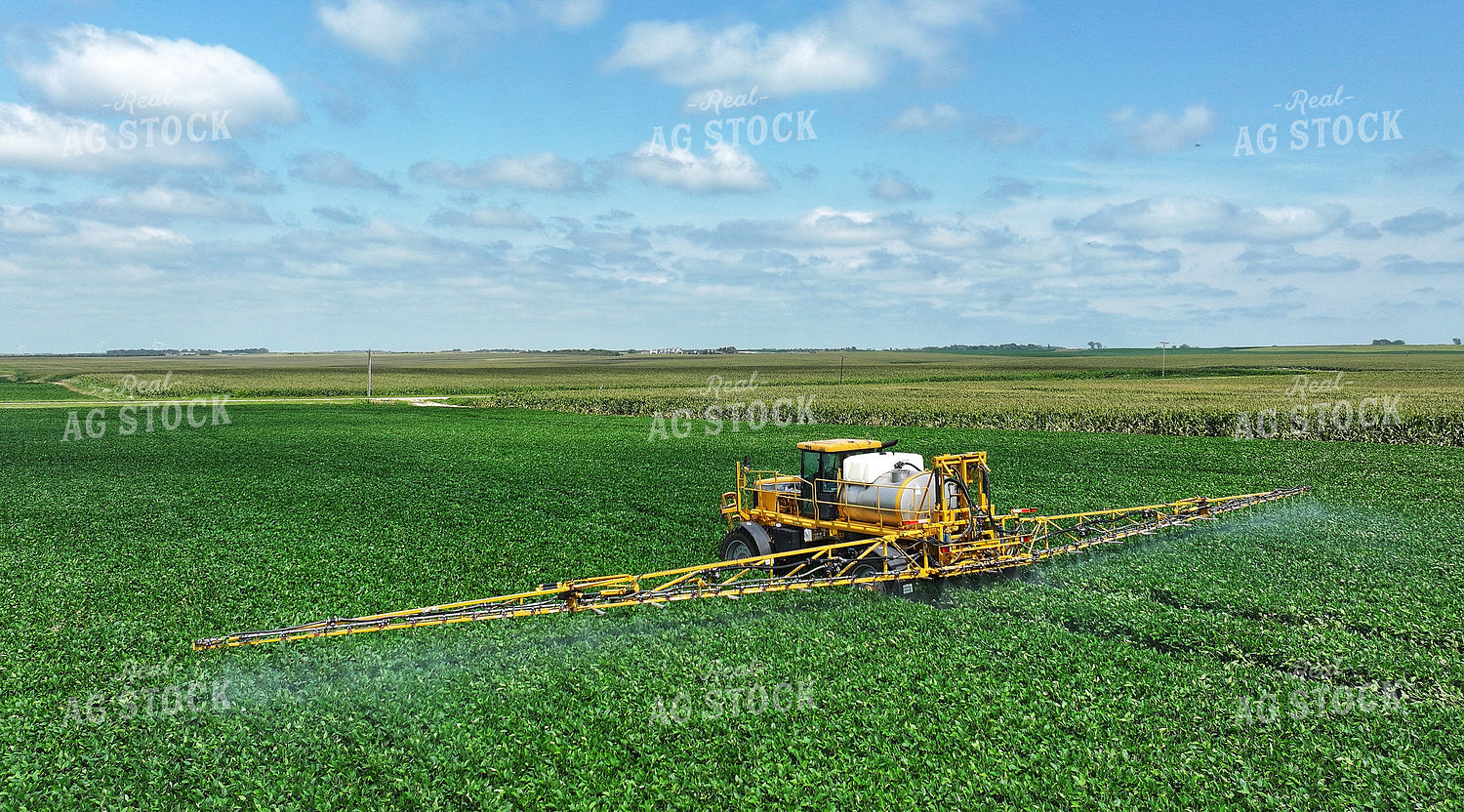 Spraying Corn 141375