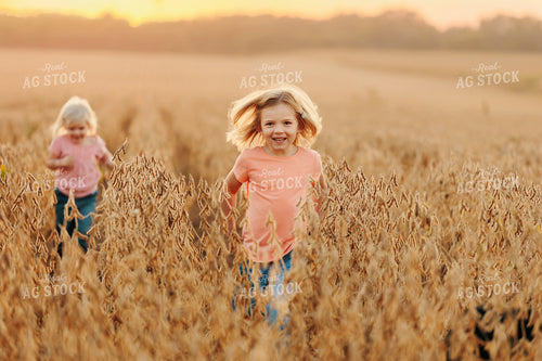 Farm Kids in Dried Soybean Field at Sunset 161188