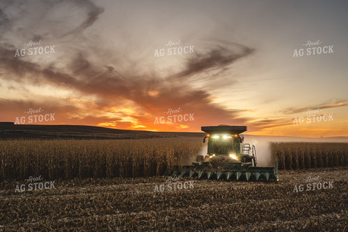 Harvest 196037