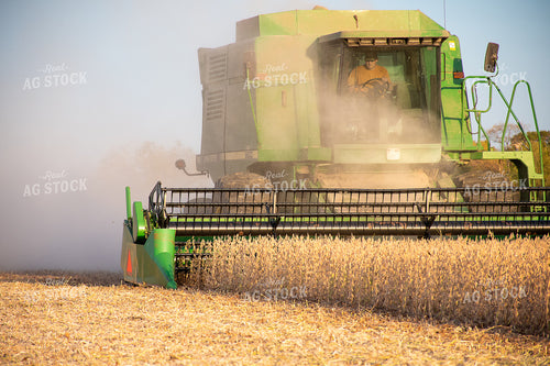 Soybean Harvest 50292