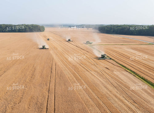 Soybean Harvest 79325