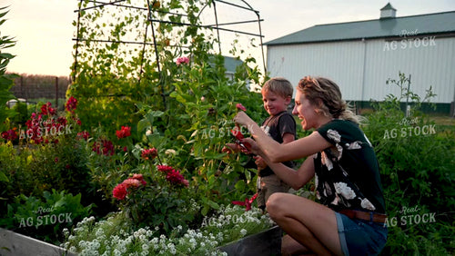 Farm Family in the Garden - 398