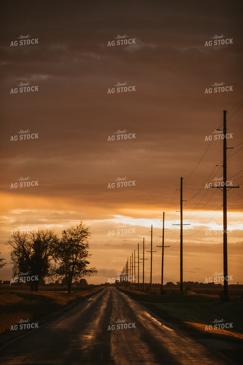 Rural Road After Rain Storm 5767