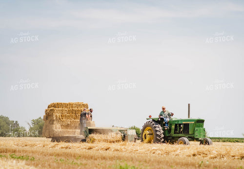 Baling Hay 115001