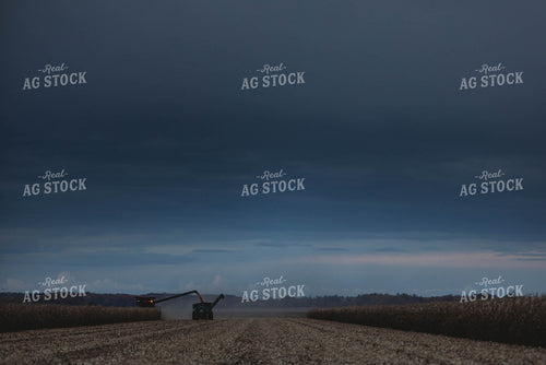 Corn Harvest 8633