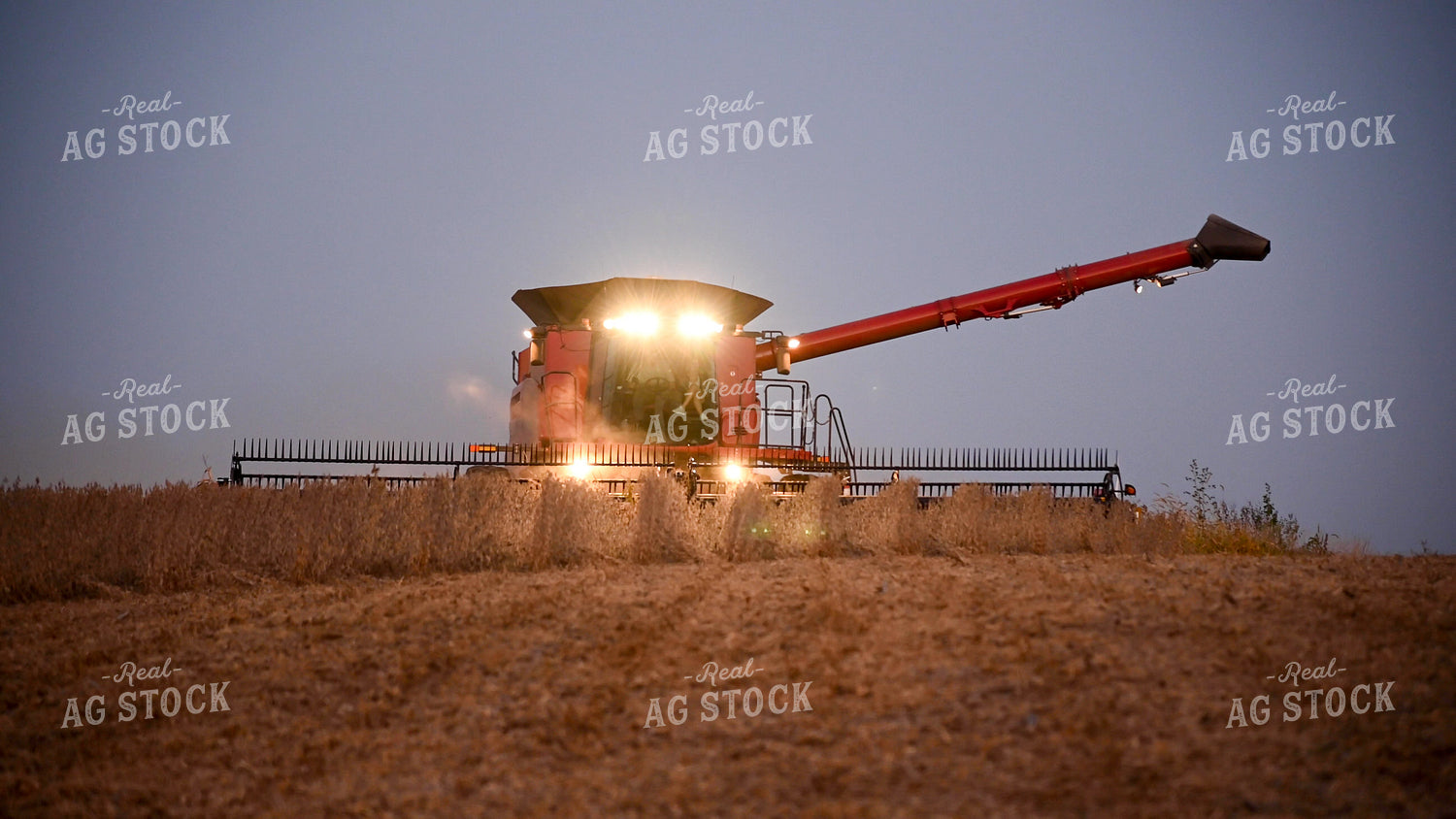 Combine Harvesting Soybeans at Sunset 25787