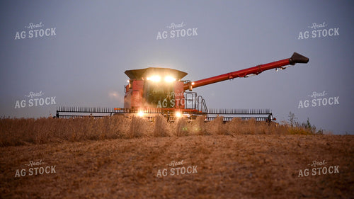 Combine Harvesting Soybeans at Sunset 25787