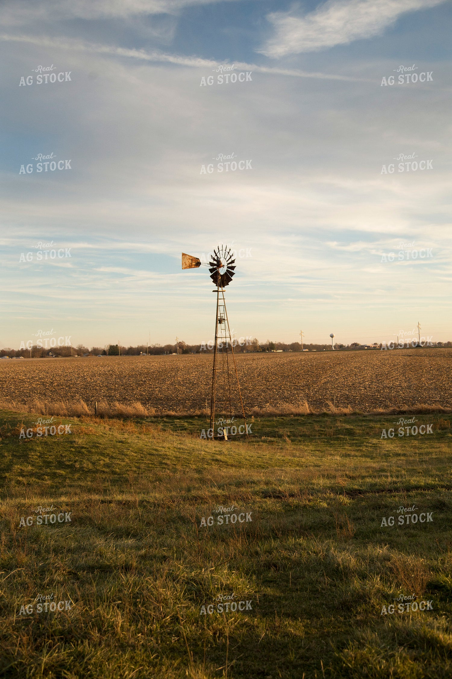 Windmill and Farmland 93096