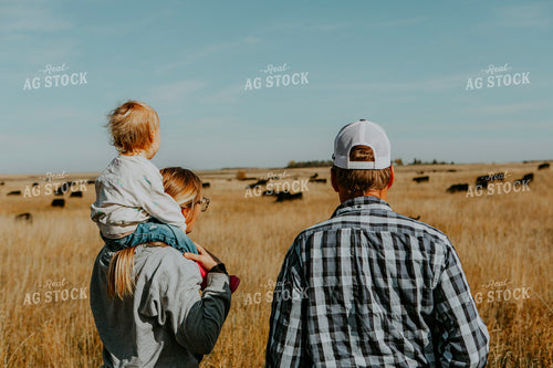 Ranch Family Checks Cows 187072