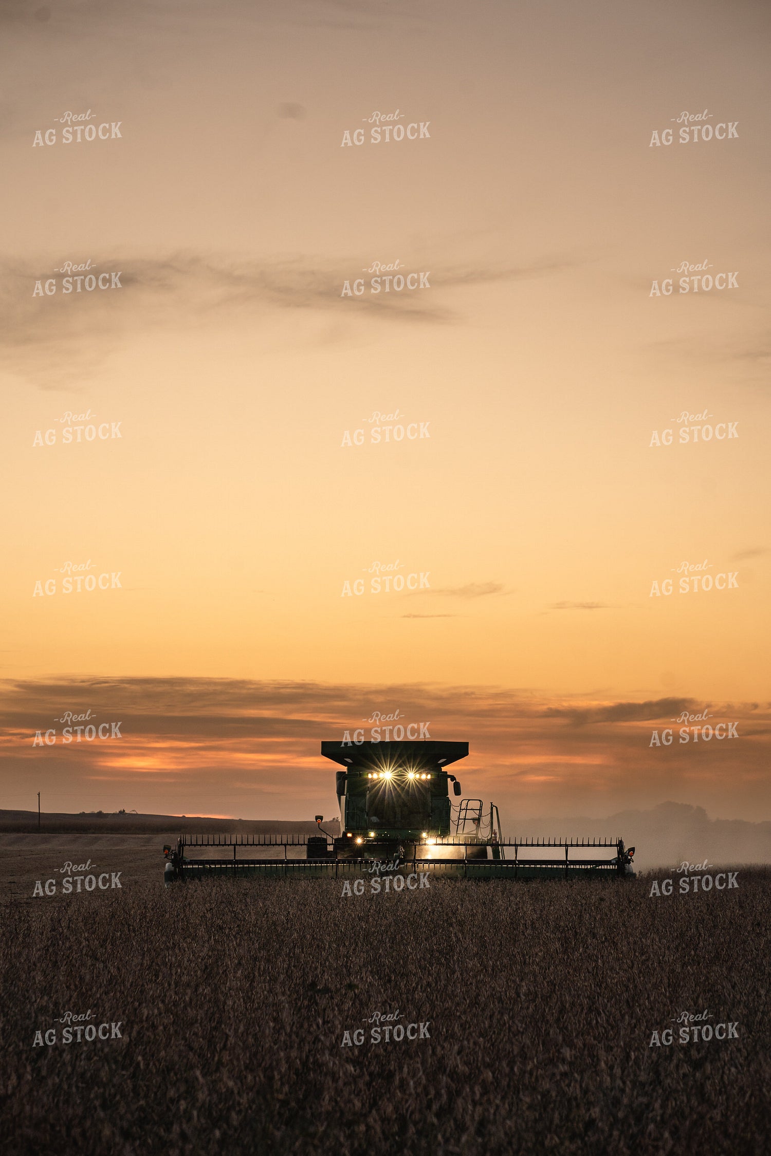 Harvest 196038