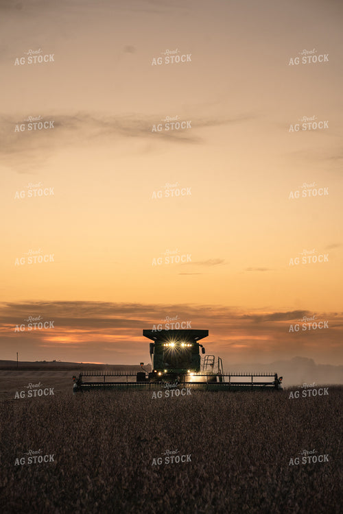 Harvest 196038