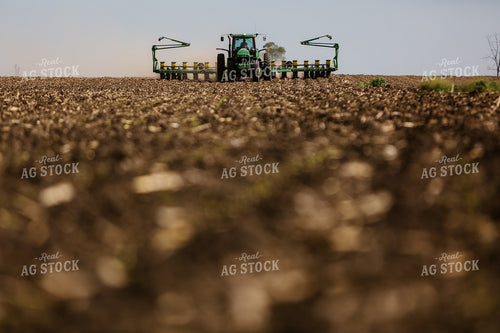 Planting 2893